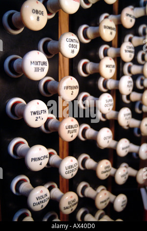 Registri la Cattedrale di Winchester Hampshire Southern England Regno Unito Foto Stock