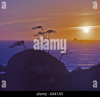 Oregon Coast USA al tramonto Foto Stock