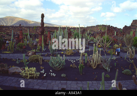 Cesare Manriques Cactus Garden Jardin di giardini di cactus Lanzarote isole Canarie Foto Stock