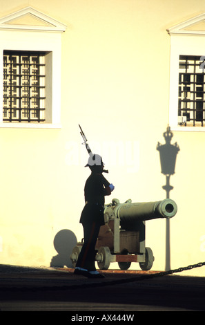 Cambio della guardia Palace Palais di Monaco Monte Carlo Principaute de Monaco Costa Azzurra Paca Francia Europa Foto Stock