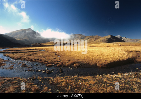 Col de la Bonnette Restefond Alpes-maritimes 06 Mercantour alpi francesi Paca Francia Europa Foto Stock