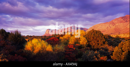 Sunrise su El Capitan e colori autunnali al Parco Nazionale delle Montagne Guadalupe Texas USA Novembre 2005 Foto Stock