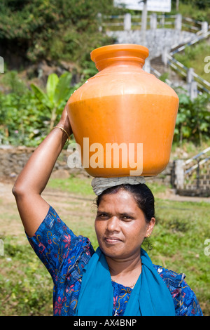 Signora portante un di plastica grande contenitore di acqua sulla sua testa, da un pozzo, i Ghati Occidentali, Kerala, India Foto Stock