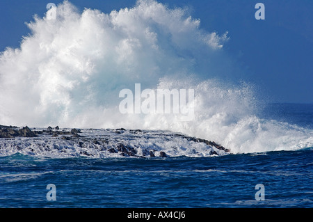 Onde, North Shore Oahu, Hawaii Foto Stock