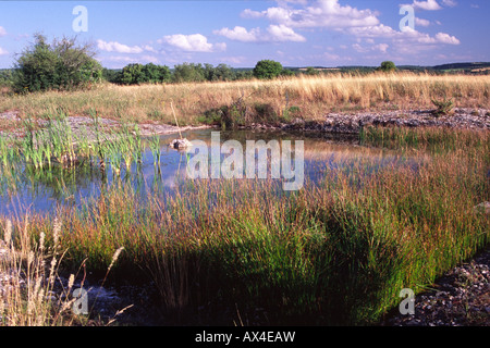 Il Lac du Poulogne, un acqua stagionale del corpo sul Causse de Gramat, lotto regione, Francia. Foto Stock