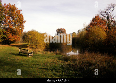 Bosco autunnale del lago. ESSEX. Regno Unito Foto Stock