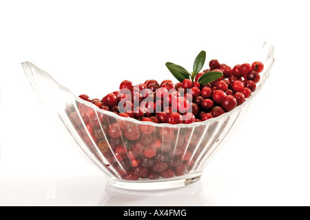 Cranberries nella ciotola di vetro, close-up Foto Stock