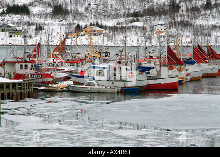 Mefjordbotn pesca costiera borgo incastonato tra le montagne senja inverno artico Norvegia Foto Stock