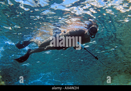 Grecia CICLADI sikinos un uomo pesca subacquea Foto Stock