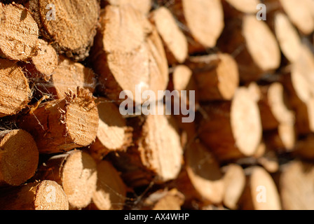 Catasta di legna da ardere al di fuori di un fienile in sudtirol, Italia Foto Stock