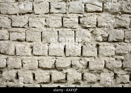 Adobe un muro di mattoni, parte di una casa in rovina in Ecuador Foto Stock