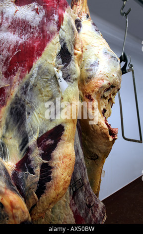 La carne biologica si blocca su ganci da macellaio in una fattoria camera congelatore Foto Stock