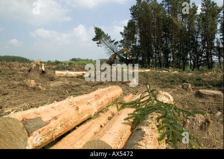 La mietitura lodge palo in legno di pino di raccolta Galles Carmarthenshire Foto Stock