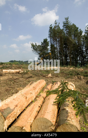 La mietitura lodge palo in legno di pino di raccolta Galles Carmarthenshire Foto Stock