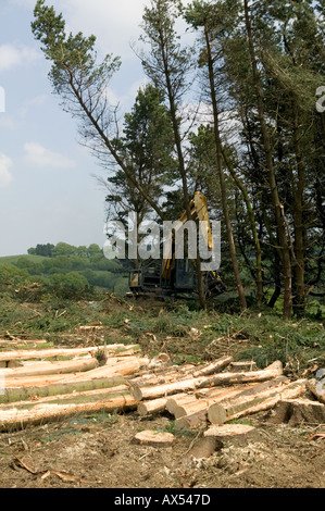 La mietitura lodge palo in legno di pino di raccolta Galles Carmarthenshire Foto Stock