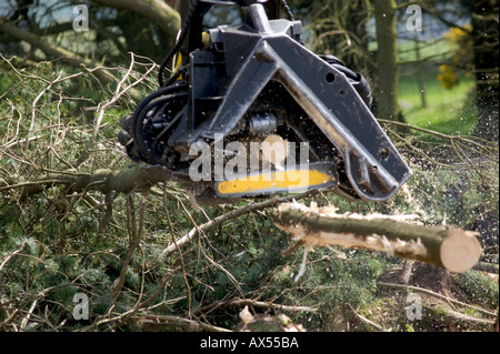 Testa di raccolta la raccolta di legname Carmarthenshire Galles Foto Stock