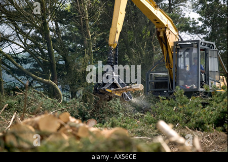 La raccolta di legname Carmarthenshire Galles Foto Stock