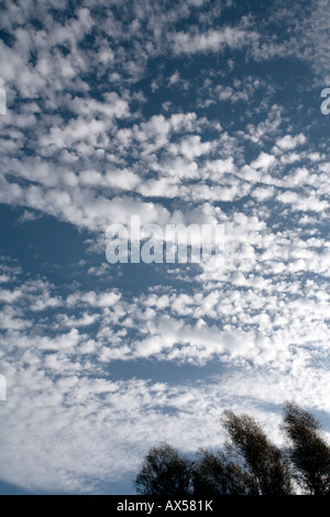 Altocumulus e nubi Cirrocumulus Foto Stock