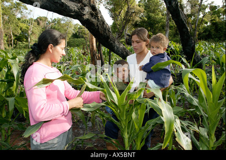 Le donne e i bambini in un cornfield appena cancellato nella foresta pluviale, Asunción, Paraguay, Sud America Foto Stock