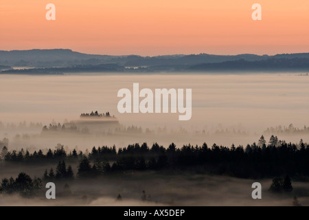 Paesaggio avvolta nella nebbia bavarese, pre-Alpi, Alta Baviera, Baviera, Germania, Europa Foto Stock