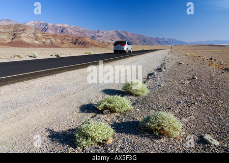 Guida auto lungo l'autostrada 178 nella Valle della Morte, Parco Nazionale della Valle della Morte, California, USA, America del Nord Foto Stock