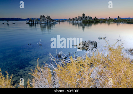 Il tufo bizzarre formazioni rocciose, sale coperte di cespugli e piante a lago Mono, alcalino Salt Lake, Lee Vining, CALIFORNIA, STATI UNITI D'AMERICA, NÉ Foto Stock