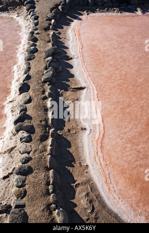 Las Salinas de Tenefé Salinen, Pozo Izquierdo, Santa Lucia, Gran Canaria Isole Canarie, Oceano Atlantico, Spagna Foto Stock