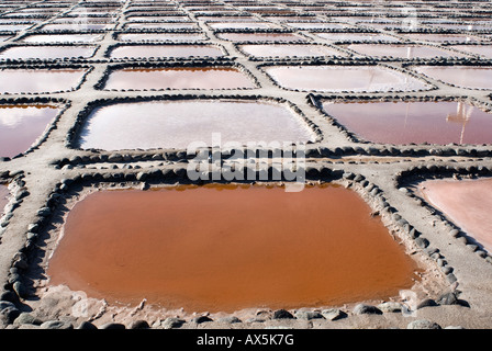 Las Salinas de Tenefé Salinen, Pozo Izquierdo, Santa Lucia, Gran Canaria Isole Canarie, Oceano Atlantico, Spagna Foto Stock