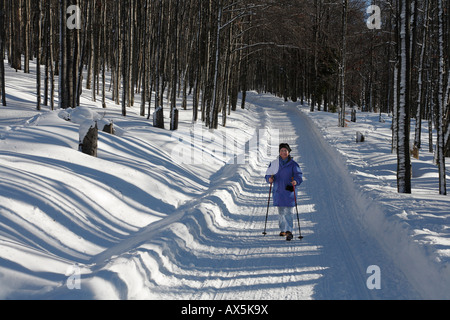 Percorso invernale, Lusen, Nationalpark Bayerischer Wald (Parco Nazionale della Foresta Bavarese), Bassa Baviera, Baviera, Germania, Europa Foto Stock