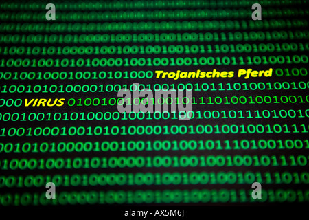 Computer virus, "virus" e "cavallo di troia" (tedesco) enunciato in giallo tra codifica bit in un computer il flusso di dati Foto Stock