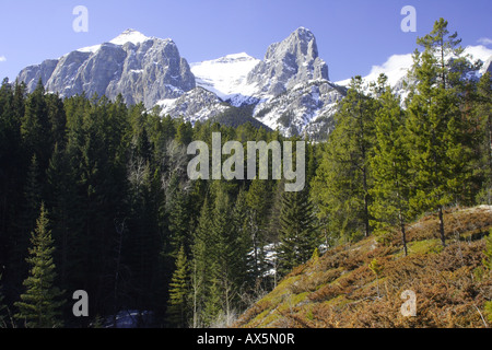 Rockies a Canmore, Alberta Foto Stock