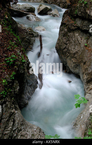 Stream, Wolfsklamm (Wolf la gola), Stans, Nord Tirolo, Austria, Europa Foto Stock