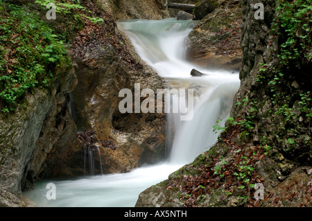 Stream, Wolfsklamm (Wolf la gola), Stans, Nord Tirolo, Austria, Europa Foto Stock