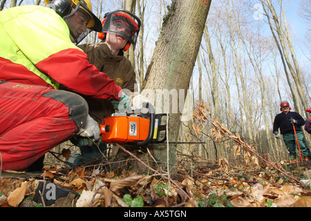 Chainsaw corso i partecipanti la pratica in una foresta Foto Stock