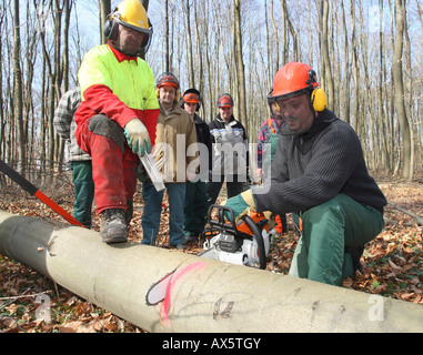 Chainsaw corso i partecipanti la pratica in una foresta Foto Stock