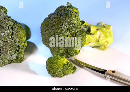 Broccoli (Brassica oleracea var. silvestris), fresche verdure biologiche e di un coltello da cucina Foto Stock