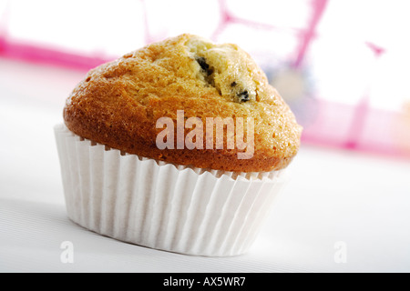 Muffin ai mirtilli, close-up Foto Stock