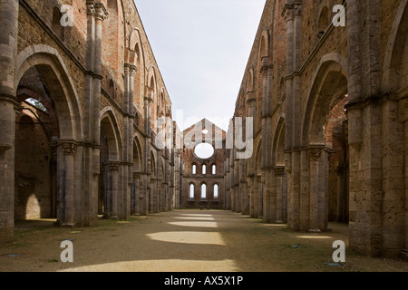 Abbazia di San Galgano rovine, Toscana, Italia, Europa Foto Stock