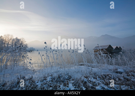 Boathouses, frost-coperto reed sulla riva del Kochelsee (Lago Kochel) avvolta nella nebbia bavarese, pre-Alpi, Bavari superiore Foto Stock