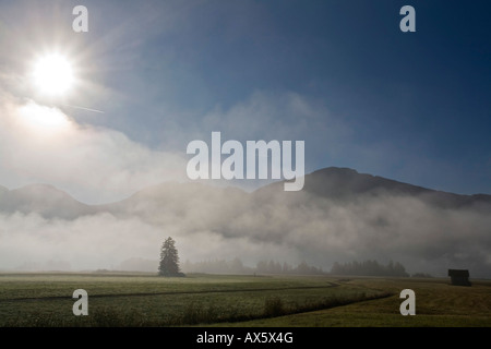 Nebbia paesaggio ricoperto di bavarese, pre-Alpi, Alta Baviera, Baviera, Germania, Europa Foto Stock