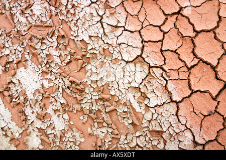 Secche riverbed, la grande scala monumento nazionale, Utah, Stati Uniti d'America Foto Stock