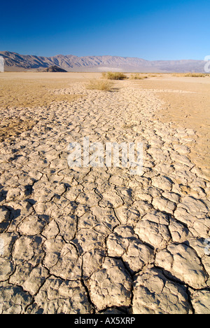 La disseccazione crepe, arido terreno vegetale al tubo da stufa pozzi nel Parco Nazionale della Valle della Morte, California, USA, America del Nord Foto Stock