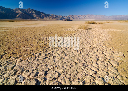 La disseccazione crepe, arido terreno vegetale al tubo da stufa pozzi nel Parco Nazionale della Valle della Morte, California, USA, America del Nord Foto Stock