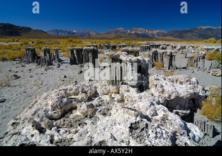 Tuff formazioni rocciose scogliere a bordo del lago mono e sulle montagne di Sierra Nevada in background, Sud il tufo, Lee Vining Foto Stock