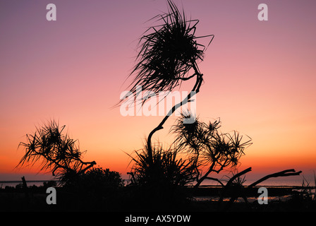 Tramonto, East Point, Darwin, Territorio del Nord, l'Australia Foto Stock