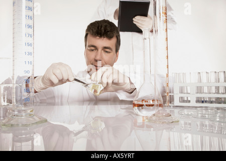 Farmacia di condurre un esperimento in un laboratorio Foto Stock