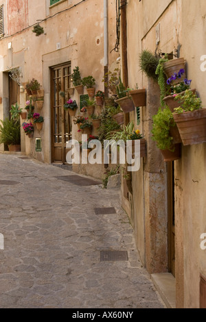 Fiori decorare una strada di Valldemossa, Maiorca, isole Baleari, Spagna, Europa Foto Stock