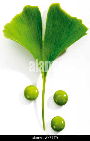 Foglie di Ginkgo e pillole, close-up Foto Stock