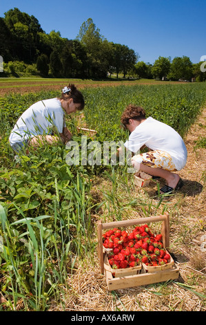 Giovane madre e figlio di fragole di prelievo su U Pick Agriturismo vicino a Lanesville Indiana Foto Stock