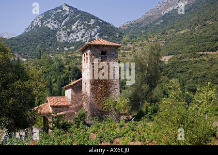 Decimo secolo la chiesa di Santa Maria in Hermida Gorge Lebena Cantabria Spagna Foto Stock